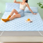 어르신안방 패드 메쉬 냉감패드 쿨매트 여름 침대용 거실 경로당 낮잠용 시원한소재 : jsshome