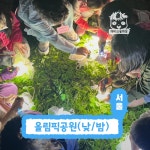[깨비의숲마을][올림픽공원] 서울 송파구 숲체험 어린이 여름 방학 유아 초등 자연 곤충 주말 체험 학습 : 아이고고