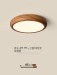 우드 천장등 북유럽 안방 램프 백색광 조명 30cm 호텔 거실 침실등 얇은 호두나무무늬 30CM 화이트 : 프리즘플랜