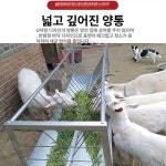 농업용 가축 사료통 젖소 배식통 송아지 먹이통 컨베이어 벨트 통 배송 가정 배달 양 A : 벤덱스