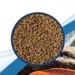 네오 에너지 L 1L (캡 리무버 36정 증정) : 명아쿠아