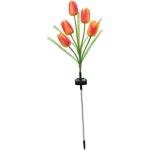 반잭 태양광 정원 장식용 천을 위한 창의적인 잔디 조경 조명 매력적인 분위기를 위한 우아한 야외 태양광 조명 독특한 아이디어 제공 : 붕붕02