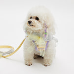 루이독 워크 위드 미/빅 보우 하네스 Set : 롯데백화점 부산본점