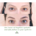 Dr Joe Lab 캐스터 오일 피마자유 냉압착 대용량 946ml : 코메구르