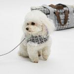 루이독 워크 위드 미/럭키 클로버 하네스 Set : 롯데백화점 부산본점