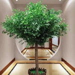 시뮬레이션 트리 대형 된 반얀 나무 식물 호텔 원하는 결혼식 실 15429N5983321 : 몰글샵