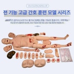 인체 전신 모형 교육용 교구 해부학 간병인 해부 케어인전용캔버스가방 : 유케이인터내셔널