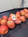 지훈이네 가정용 햇부사 사과 4kg : 지훈이네사과