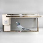 닭장 자동문 양계장 원격제어 타이머 리모컨 게이트 1. 50cm 타이머/자동문 : 연동이직구