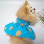 강아지 스모킹 원피스 끈 원피스 패턴 강아지옷만들기 : 펫 DIY