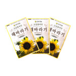 해바라기 황색갈색심 50립 다농 25년 3봉묶음할인 : 제일농약사