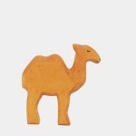 새끼 낙타 : 아이라움 가게