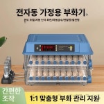 소형부화기 계란 병아리 전자동 12개 키트 메추리 블루 6 단전력 : 더블류에이인터내셔널