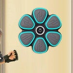 스포츠 운동 스마트 음악 복싱 머신 펀칭 포커스 패드 기본 : 해외다모아8호점