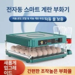 병아리부화기 거위 오리 부화기 알 양계장 더 닭 계란 미니 키우기 대형 배터리 온도 : 바이윤잇