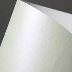 반품불가 두성 스타드림 4절 240g 254 문스톤-장 (1개입) : 놀이터 마트