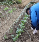 텃밭 비닐하우스 활대 온실 식물 자재 폴대 하우스 미니 소형 : 직구만물센터