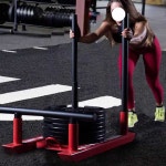 짐슬래드 파워슬래드 크로스핏 스트랩 헬스 근력 랩 피트니스 : LDA글로벌