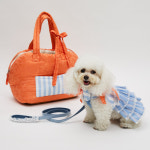 루이독 워크 위드 미/카프리 하네스 Set : 롯데백화점 부산본점