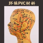 마네킹 한의원 모형 전신 인체 연습 교구 인체모형 실습 : 도쿄파파신뢰아울렛