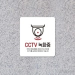 삼삼오품 cctv안내 CCTV표지판 녹화중 포맥스표지판 18x18cm : 삼삼오품