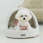 파스텔 심플 체크 반려동물 하우스 대형 강아지집 : 비에스큐