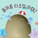 키크는 타조알 신선도보장 : 영농조합법인 행복한타조농장
