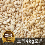 국산 찰보리 4kg 늘보리 쌀보리 모음 : 주식회사 현대농산