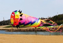 비행 성인 꼬리 전문 바람 공장 기본 : 에이치에스라이프몰46호점