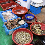 [광양시 배달] 쫄깃쫄깃 소라 1kg [중마 해금수산] : 동네시장 장보기