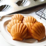 치요다 쿠오카 빵 마들렌틀 틀 조개 6개형 : 리타오르빗