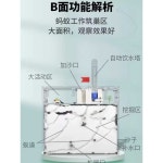 개미사육장 여왕개미 투명 확장 개미굴 사육통 앤트킹 키우기 : 빌레모