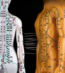 한의원 경혈 마네킹 62cm 혈자리 교육 연습 실습용 지도 동인 침자리 : 비투비팜팜