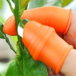 줄기 다듬이 손톱골무 모자진열 속아내기 배 : Rich언니