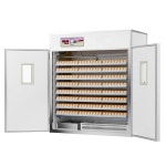 자동병아리부화기 스마트온습도조절 인큐베이터 부화 기계 자동 대형 지능형 가정용 중형 계란 부화기 닭 오리 사육 작은 상자 : 셀지트