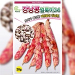 강낭콩씨앗종자 얼룩이34 강낭콩 30g : 코코주말농장