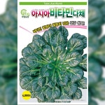다채씨앗종자 아시아비타민 4000립 : 코코주말농장