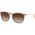 Ray-Ban RB4171F 선글라스 번들: RB 4171F ERIKA 674413 에리카 투명 라이트 브라운 및 아이웨어 클리닝 키트 683715 : 01.제이케이몰