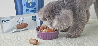 [나샘] 플로니 소고기 2종 : 컬리N마트