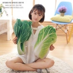 수박 감자 청경채 히카마 토마토 씨앗 담요 옥수수 청양고추 40 cm : 오리트레이드