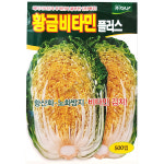 황금비타민플러스 500립 다나 25년 김장씨앗 배추씨앗 : 제일농약사