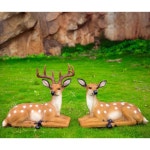 사슴모형 조형물 카페 8종 마당 공원 모형 야외 포토존 정원 조경 : 파인드글로벌2