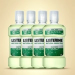 리스테린 내추럴 그린티 녹차향 구강청결제 750ml 4통 : 학교비서