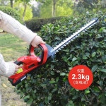 전동 정원 정전기 도구 자동 울타리 가지치기 조경 헤지 트리머 21V 배터리 1개 1시간 : 대산 컴퍼니