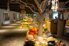   에코랜드호텔 제주 [사계절 인피니티풀, 곶자왈, 에코랜드 관광지와 골프장] : 코끼리투어