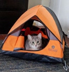 캣텐트 캣캠프 오렌지-고양이하우스 강아지집 인기 추천 : 뽀에버원