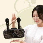 듀얼 무선 블루투스 가정용 노래방마이크 앰프 스피커 : 유앤유씨