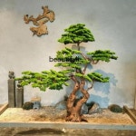 대형 나무 모형 P 시뮬레이션 트리 웰컴 파인 오너먼트 소나무 모델링 장식 원목 조각 조경 : K무역