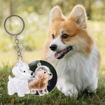 강아지 털 키링 : 같이가치