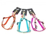 펫츠컴퍼니 조이 10mm 하네스 (랜덤발송) : 케이씨코